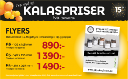 Flyers kalaspris