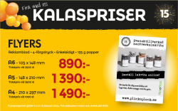 Flyers 2500 st 890 kr